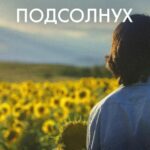 Подсолнух Постер